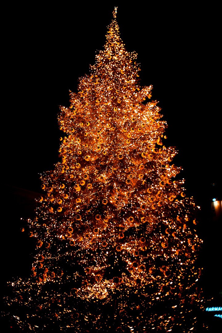 ♥️ Christmas  Forever