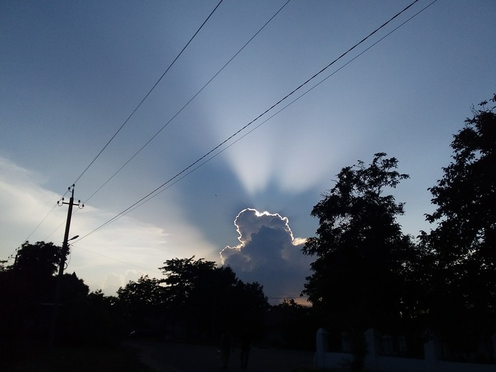 ооо