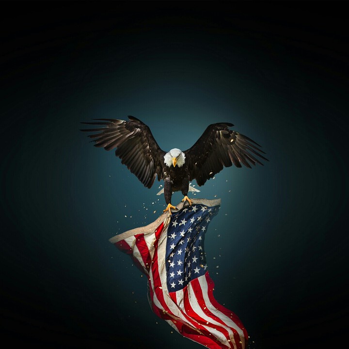 Eagle