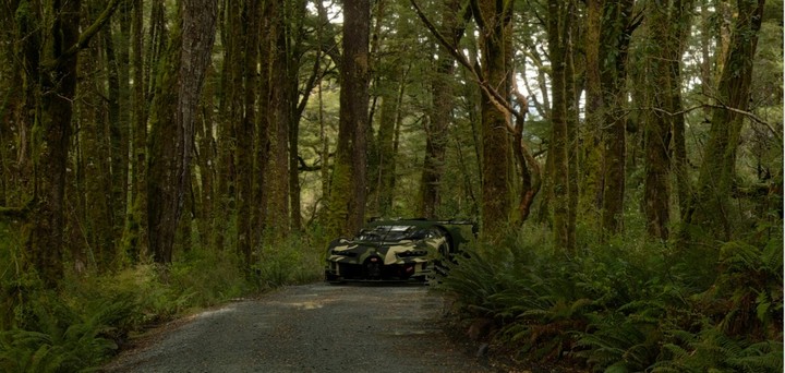 Bugatti chiron VGT camo il forest