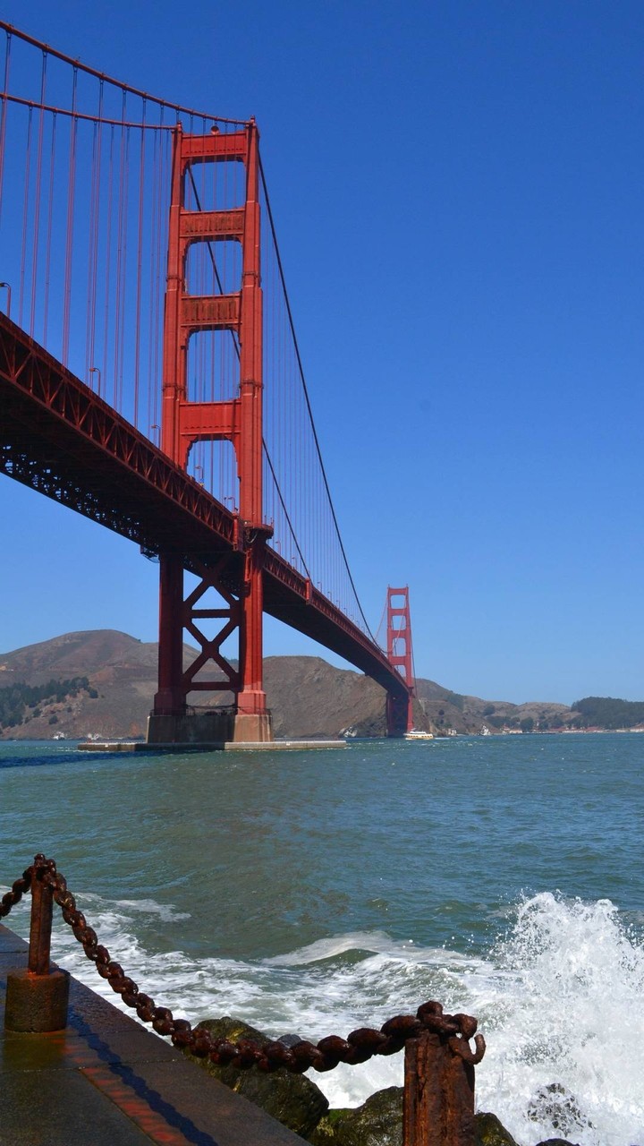 (The Golden Gate Bridge) - place of suicide (2)