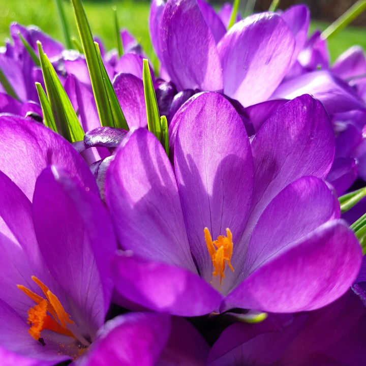 Der Frühling ist erwacht!