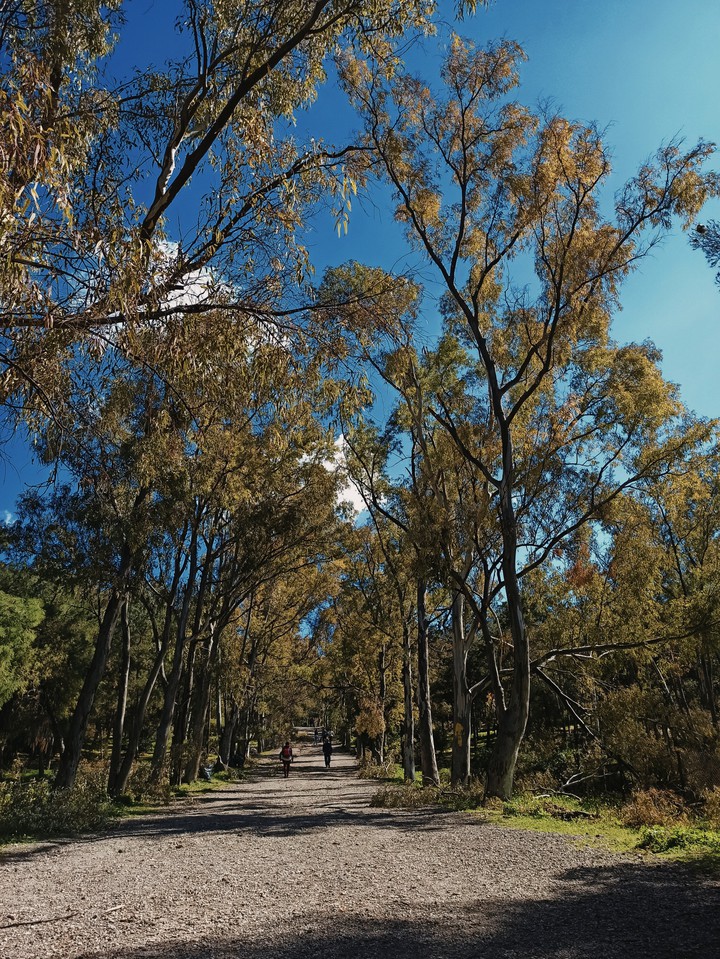 Nature