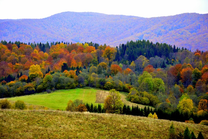 Autumn