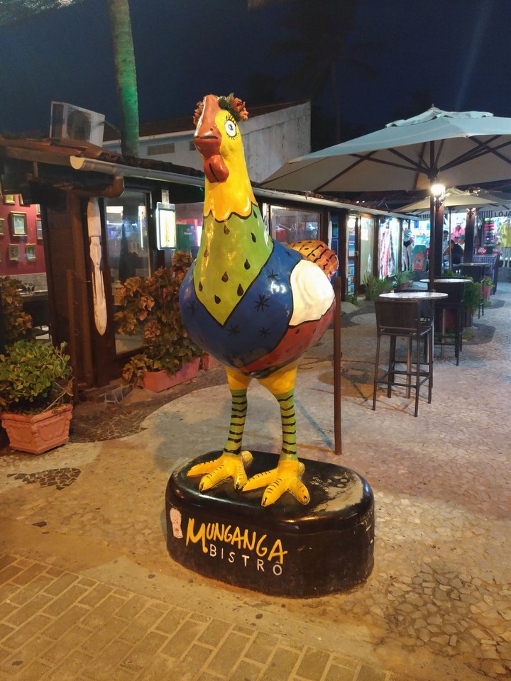 Porto de galinhas