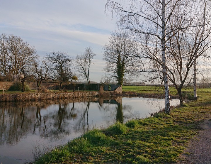paysage