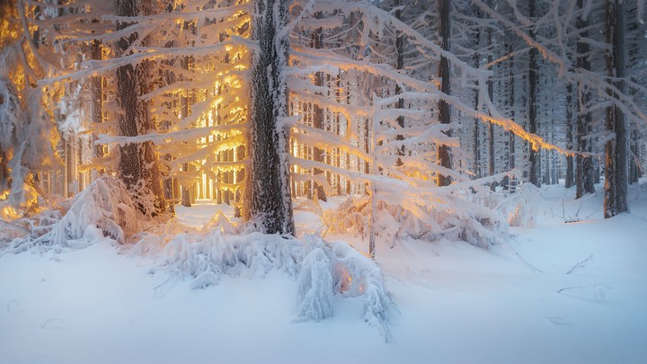 Frozen