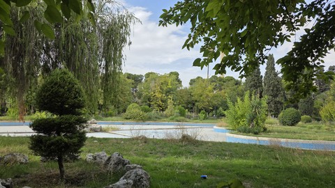 Tree, Natural_environment, Grass