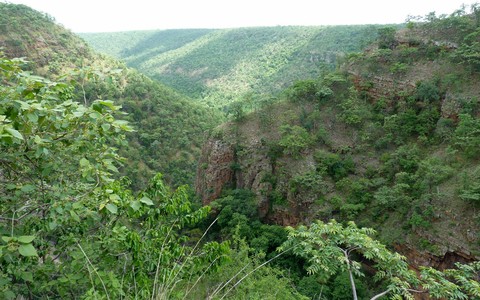 hills of nallamala, india