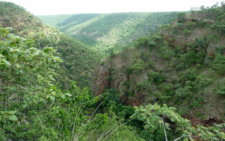 hills of nallamala, india