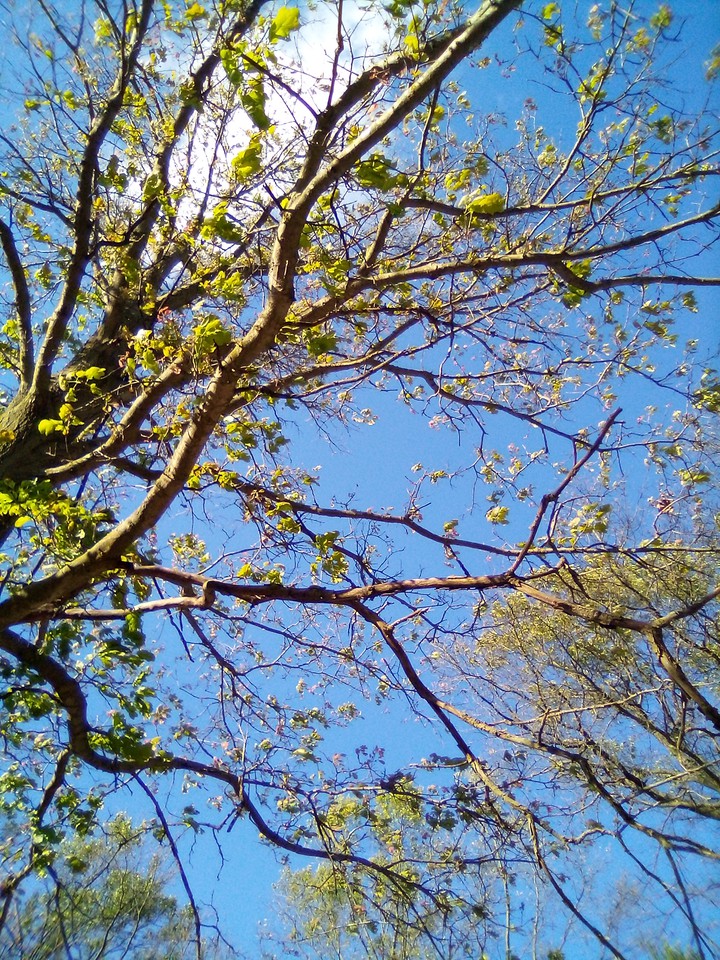 summer day