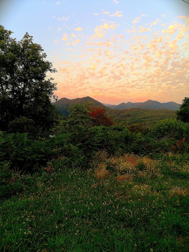 mountain summer