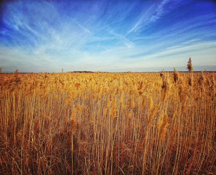 Nature of Poland