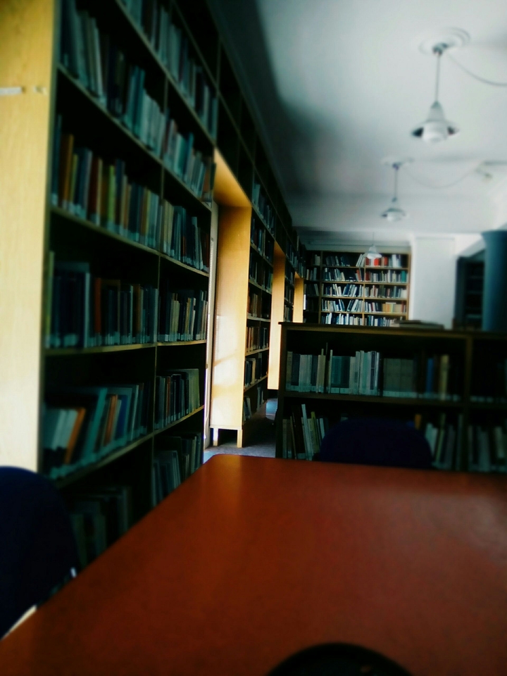 The librarian