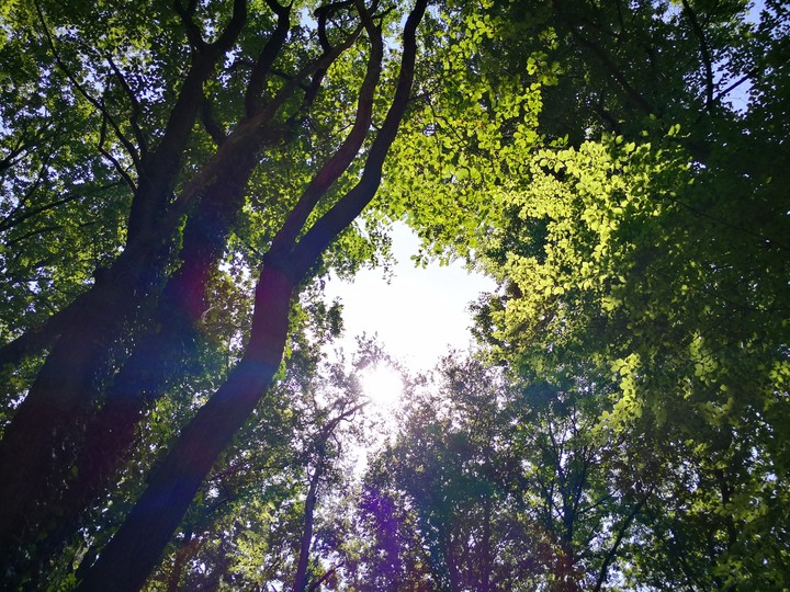 Sonnenblick