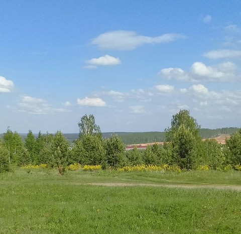 field, cloud achtergronden