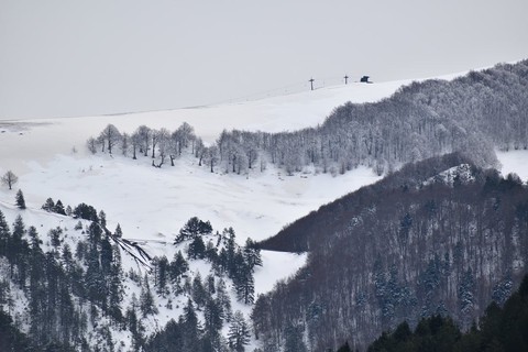 snow