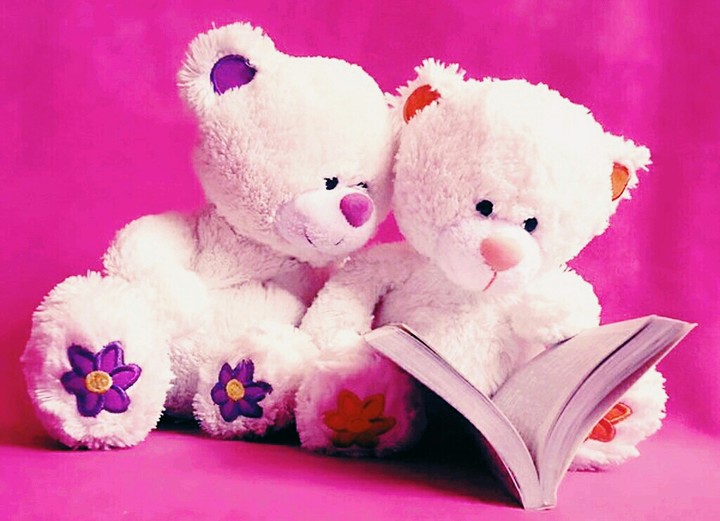 Teddy bear