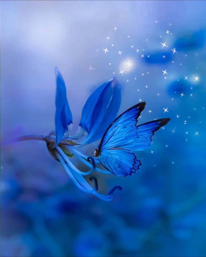 Blue