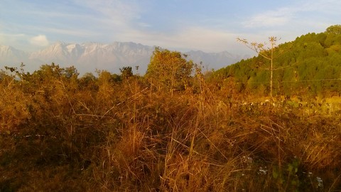 sunset view