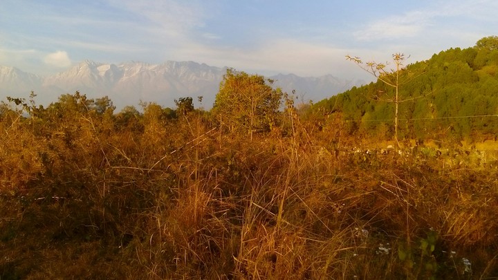 sunset view