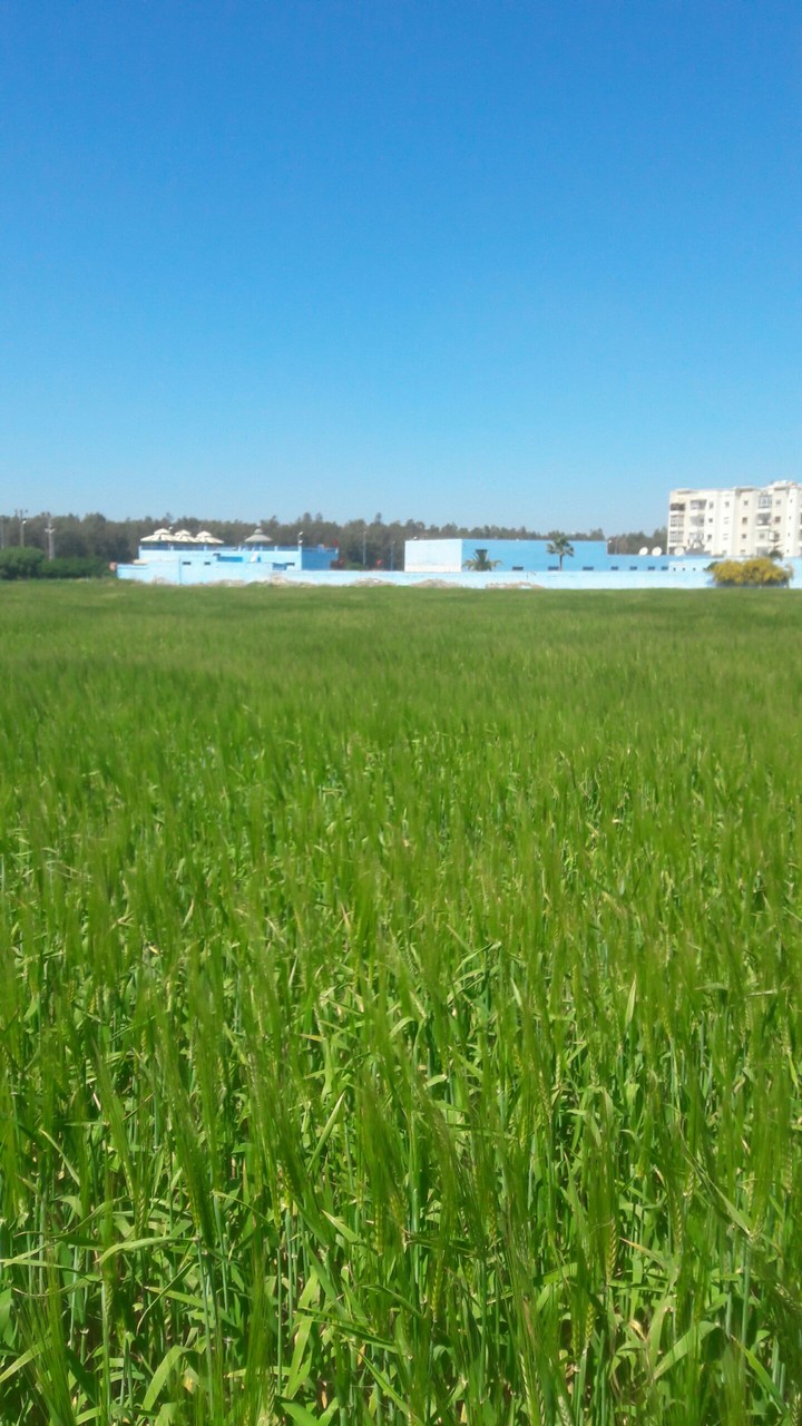 الطبيعة بالمغرب
