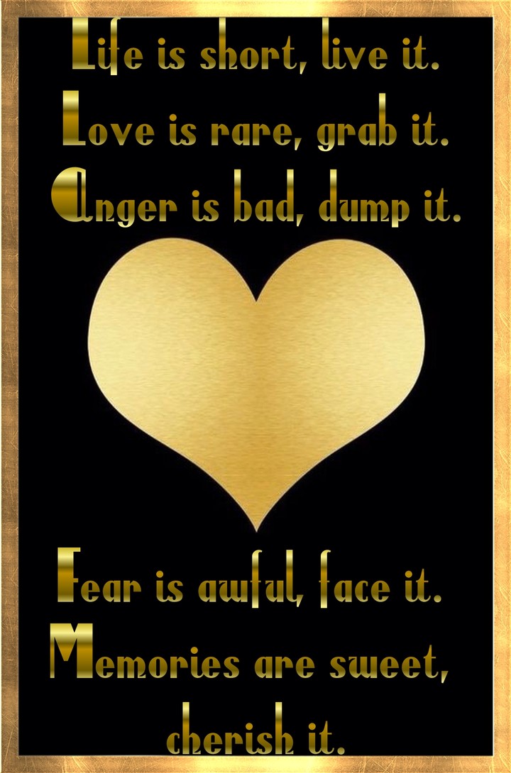 Life Love It