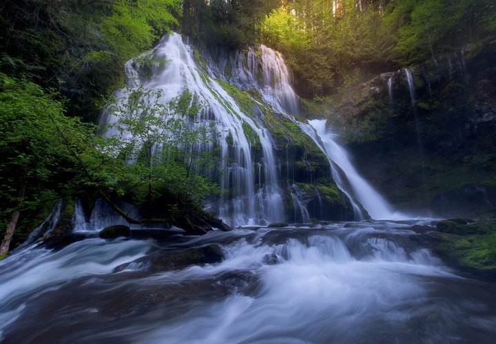 nature