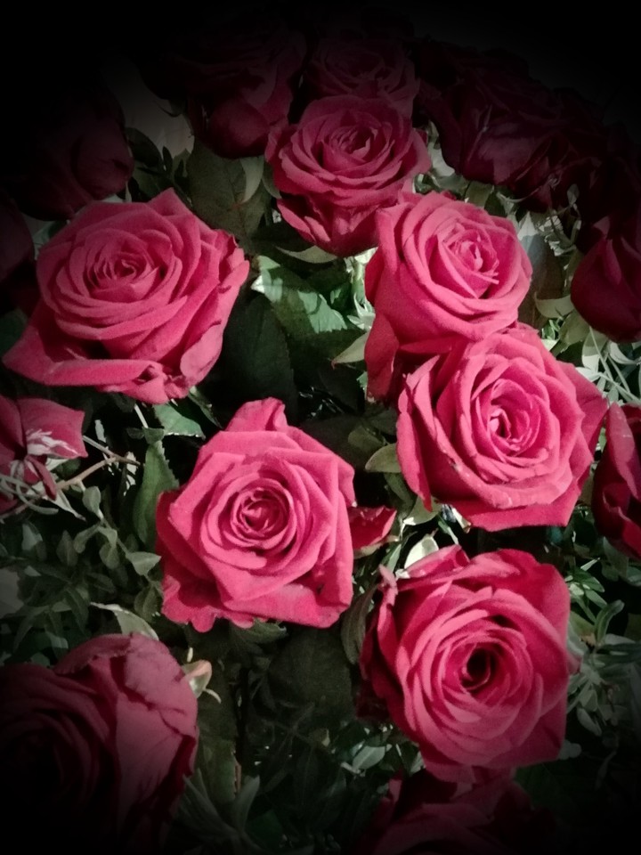Rosen
