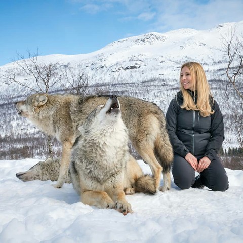 Grli&Wolf's