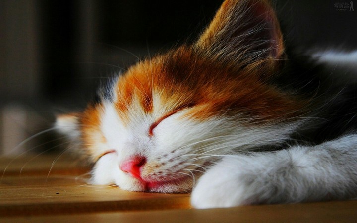 urgh.....im sleeping