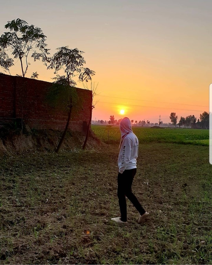 nature view