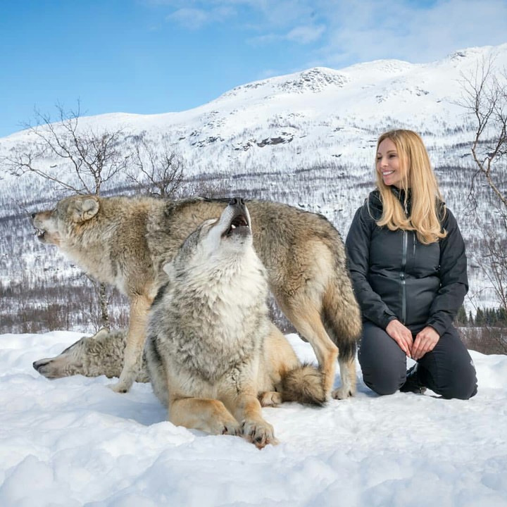 Grli&Wolf's