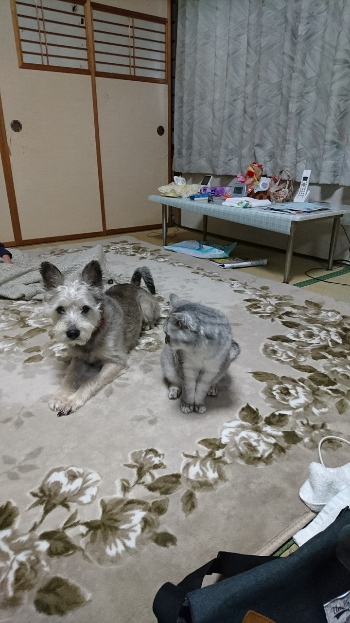 仲良しです。