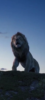 The Lion King