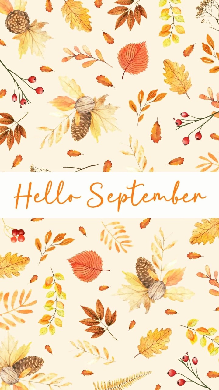 ~•◇ Hello September ◇•~