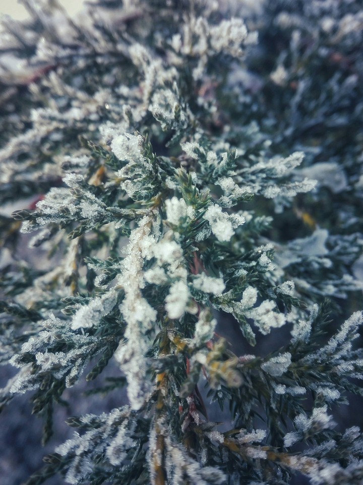 cold