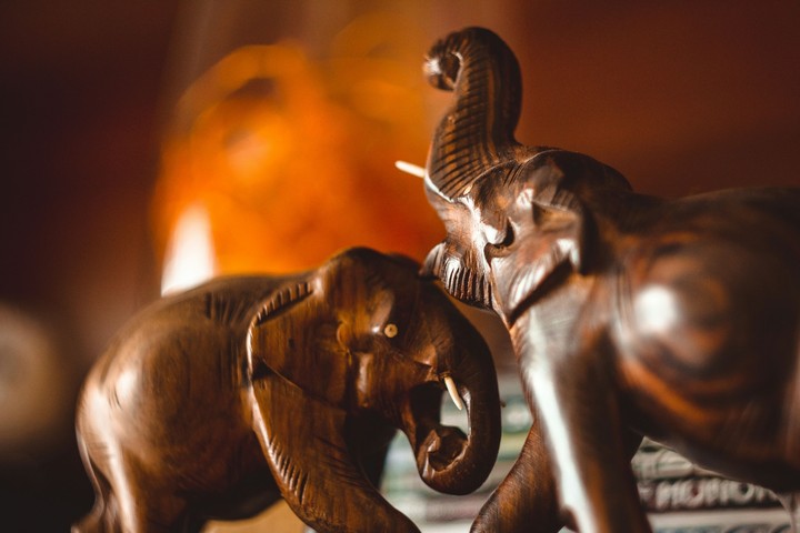 Elephants