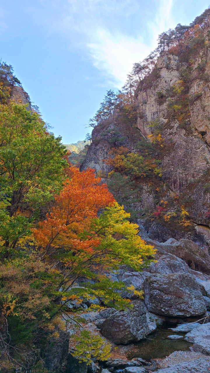 autumn