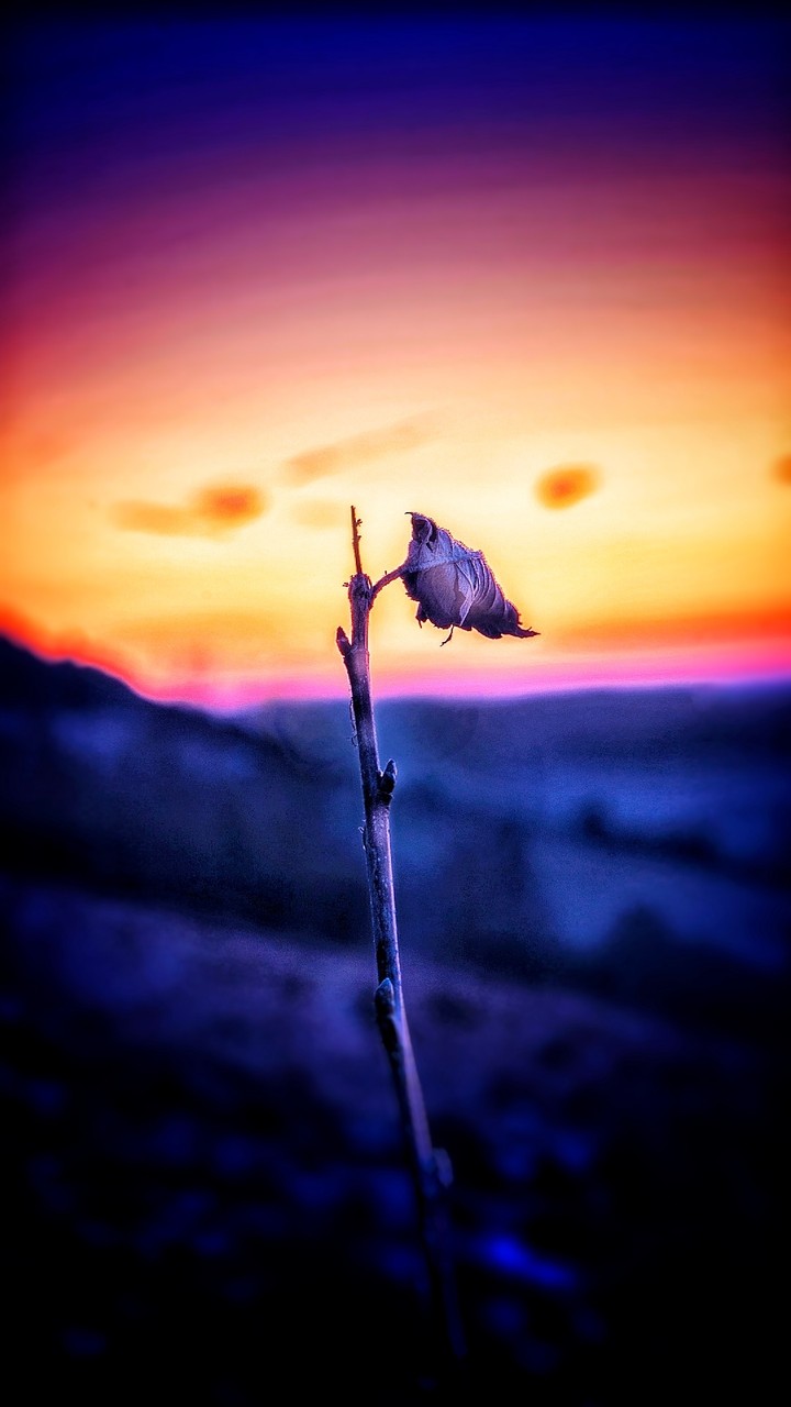 rest