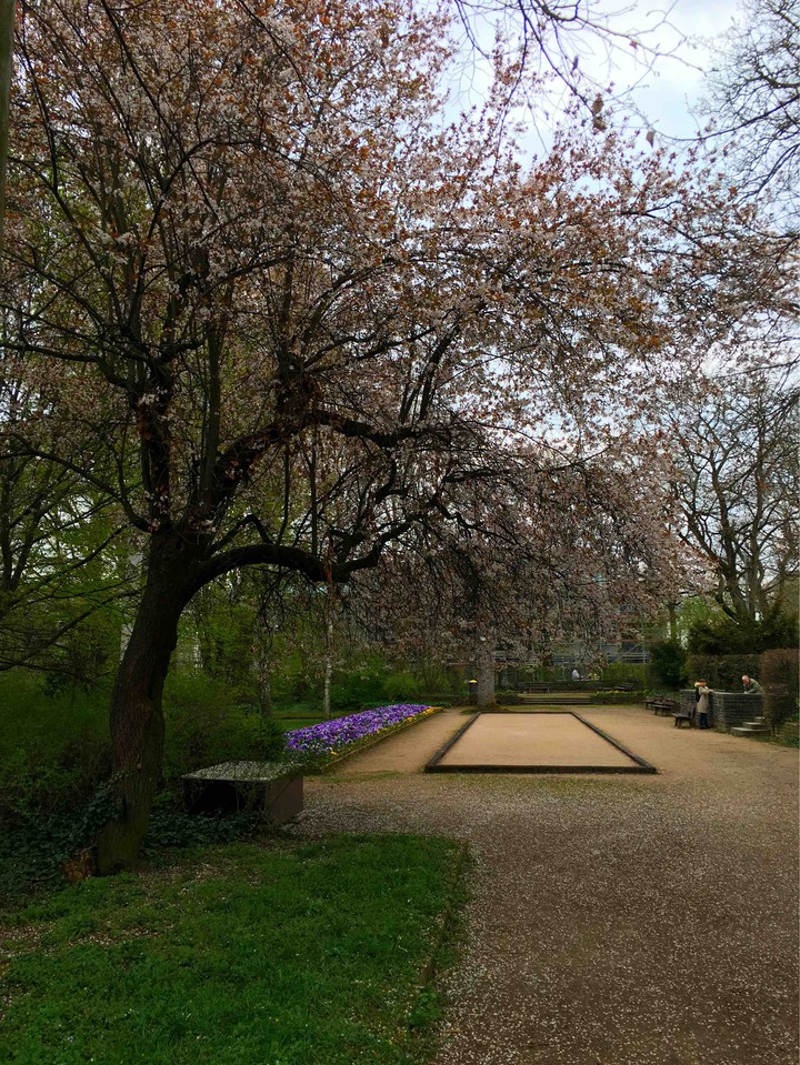 spring