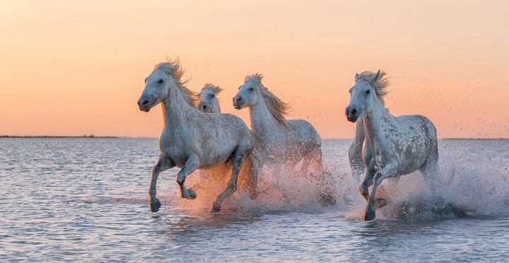lovely day...