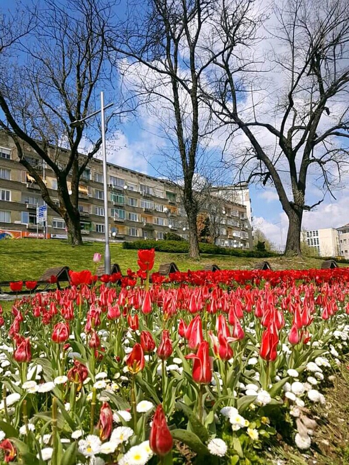 my town ☺