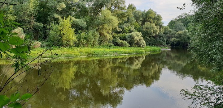 река Псёл