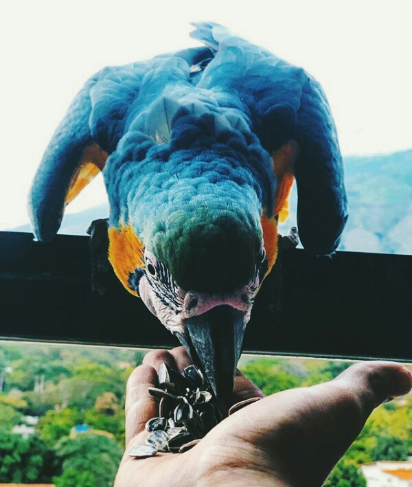 ♥Beautiful♥
