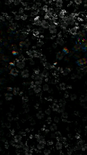 о