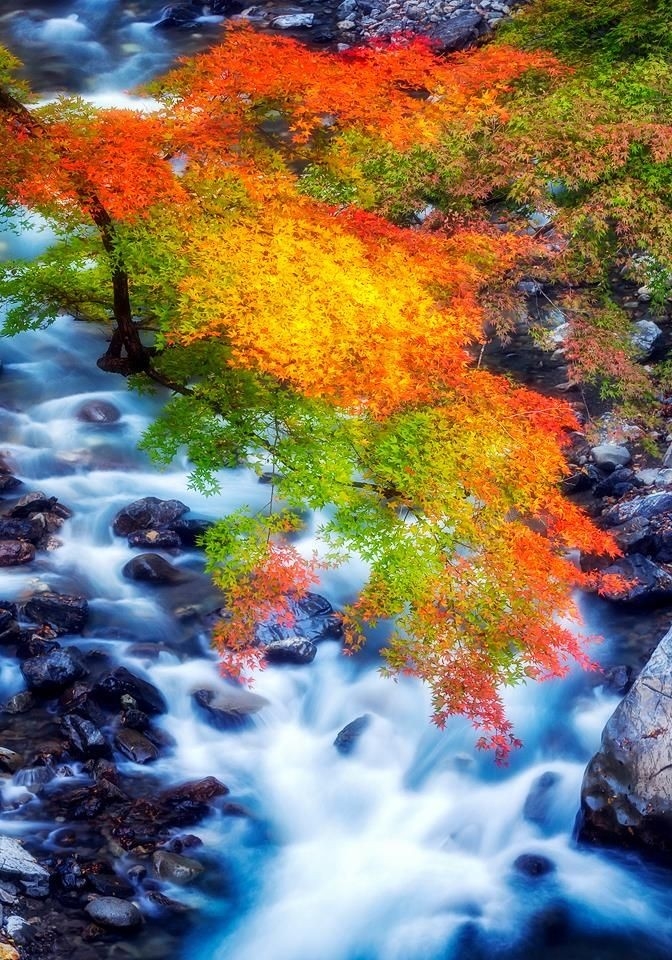 autumn