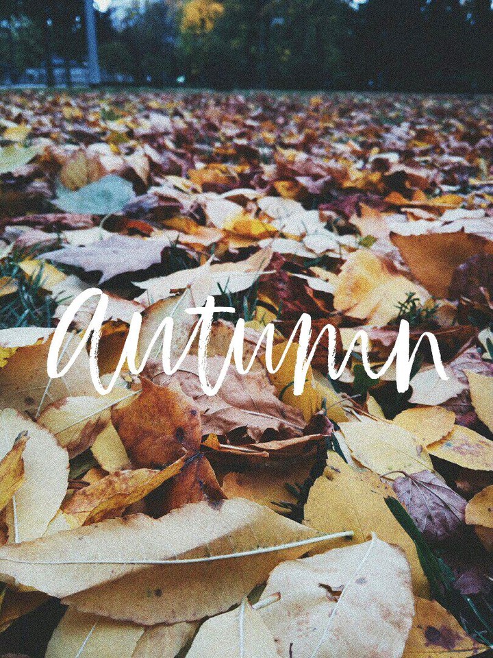 Autumn 
