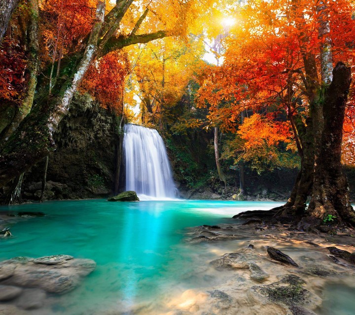 nature