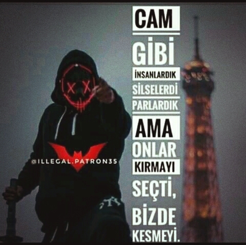insani